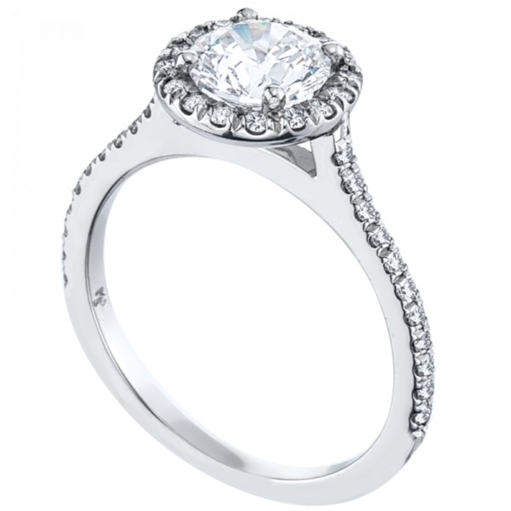 Mark Patterson Platinum Halo Setting
